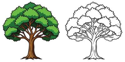 Tree coloring pages for kids with outline on white background vector