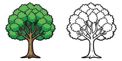 Two trees with leaves and branches vector