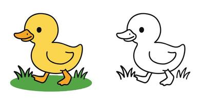 Coloring Book For Kids Tiny duckling waddling on the grass Outline Illustration vector