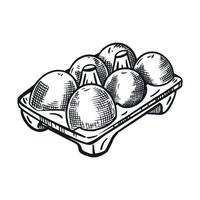 Packaging of chicken eggs, cell with eggs. All objects are hand-drawn in , illustration is suitable for printing on packaging of goods, food, decoration of farm shops vector