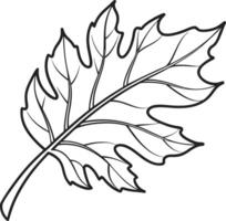 Serene Black and White Line Drawing of a Single Leaf Isolated on White Background, Botanical Illustration, Nature Print, Simple Elegant Design vector