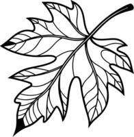 Intricate Line Art of a Single Maple Leaf, Elegant Nature Design, Botanical Illustration, Fall Mood, Coloring Page vector
