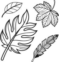 Serene Autumn Maple Leaf Coloring Page A Peaceful Fall Scene of Delicate Leaves Falling Gently vector