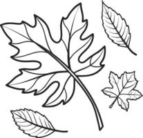 Serene Autumn Leaves Falling Gracefully in a Gentle Breeze, Black and White Line Art Illustration vector