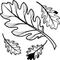Elegant Black and White Oak Leaves Falling Gracefully in a Serene Autumnal Setting - Professional digital artwork with vibrant colors and detailed composition vector