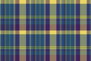 Net textile background plaid, preppy pattern fabric . Bold tartan seamless check texture in blue and violet colors. vector