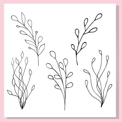 Minimal botanical doodles of cute leaves in black line art style. Delicate hand-drawn branches on white background, perfect for design, stickers, or coloring pages.