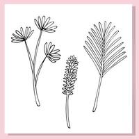 Minimalistic black and white line art of tropical plants and flowers. Three hand-drawn botanical elements including a palm leaf, daisy-like flowers, and a lavender-like stem. Great for coloring pages vector