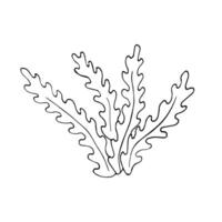 Hand-drawn seaweed silhouette in black line art style. Minimalist marine plant illustration perfect for packaging, logos, or underwater-themed designs. vector