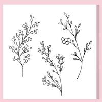 Set of hand-drawn botanical branches with round berries. Minimalist line art for nature-inspired designs, perfect for prints, packaging, logos, and DIY floral compositions. vector