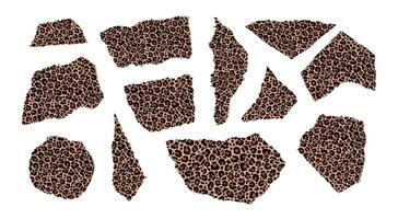 Set of pieces of paper with a leopard print. vector