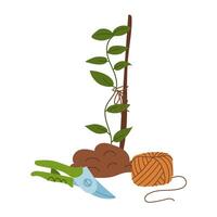 pruning shears, twine, and plant tied to a stick. Seasonal work. Gardening tools. Flat color illustration. It is suitable for the design of articles and educational materials on gardening and hobbies vector