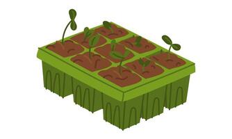 seedling cassette with soil and sprouts. pot for seedlings. Gardening equipment. Flat color illustration. It is suitable for the design of articles and educational materials on gardening and hobbies vector