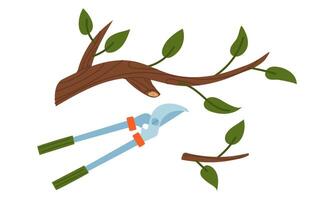 small tree is cut off with a branch cutter. Gardening tools. Color illustration. Garden plot. Suitable for gardening, site maintenance, weed control, agricultural machinery and manual labor vector