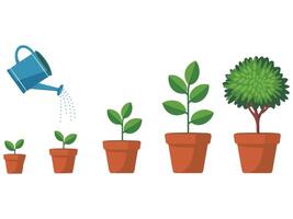 small plant growing in pot with soil and water isolated illustration vector