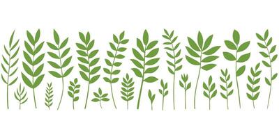 hand drawn branches and leaves isolated illustration on white background vector