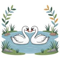 two white swans swimming in pond illustration isolated on white background vector