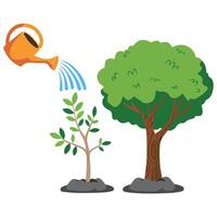 stages of growth of tree from seed isolated illustration vector
