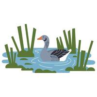 wild migratory bird goose icon isolated on white background vector