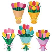 Tulip bouquets in wrapping paper isolated white background vector