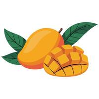 Mango and sliced mango pieces set isolated white background vector