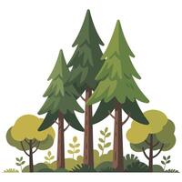 Cartoon summer forest with trees isolated white background vector