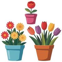 Flower bouquets in pots set isolated white background vector