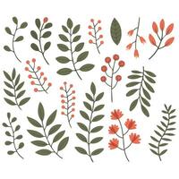 Painted leaves flowers branches set isolated white background vector