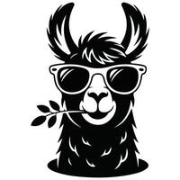 Llama with sunglasses cool isolated white background vector