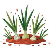 Earth bed with onions isolated white background vector