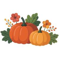 Autumn pumpkins flowers isolated white background vector