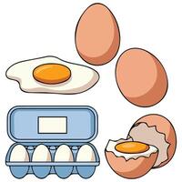 Chicken quail eggs set isolated white background vector
