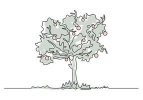 Apple Tree Continuous Line Drawing as Nature Growth Symbol vector