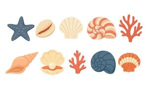 clipart with different seashells, starfish and corals in soft cartoon style. Perfect for summer and marine design. vector