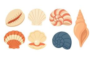 Collection of seashells in soft cartoon style. Perfect for summer projects, marine decor and beach designs. vector