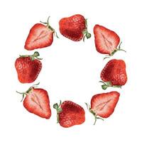 Circular arrangement of fresh strawberries vector