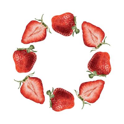 Strawberry whole and sliced berries. Watercolor floral frame of ripe summer pulp fruits. Isolated hand drawn rural botanical wreath for package, cosmetic, card