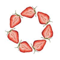 Circle of fresh sliced strawberries vector