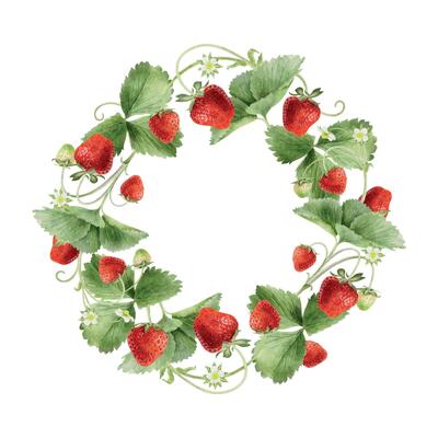 Wreath of strawberry branch with fruits, leaves and flowers. Watercolor floral frame of ripe summer pulp fruits. Isolated hand drawn rural botanical template for package, cosmetic, card