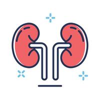 Get a glimpse of this outline icon showing kidneys anatomy vector