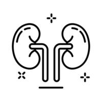 Get a glimpse of this outline icon showing kidneys anatomy. vector