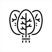 Black line icon spinach vector