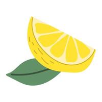 lemon slice with leaf. Amalfi lemon. illustration. vector