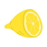 Mediterranean lemon. Half a lemon. illustration. vector