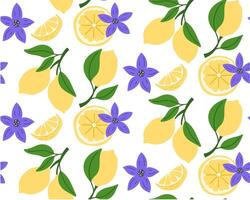 Seamless pattern with fresh citrus fruits. Summer pattern for fabric or wallpaper. illustration. vector