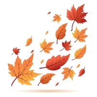 Colorful autumn leaves in various shapes and sizes, floating against a white background. The leaves display shades of orange, red, and yellow. vector