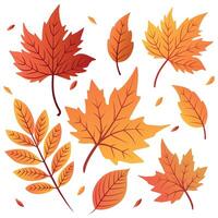 Colorful autumn leaves in various shapes and sizes. The leaves display shades of red, orange, and yellow, creating a vibrant fall theme. vector