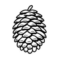 A detailed illustration of a pine cone. The pine cone is depicted in a realistic style, showcasing its textured scales and natural shape. vector