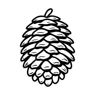 A detailed illustration of a pine cone. The pine cone is depicted in a realistic style, showcasing its textured scales and natural shape.