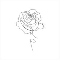 Hand drawn single line rose flower sketch in minimal style vector